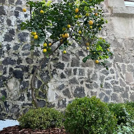 B&B Il Ponte A Vapore